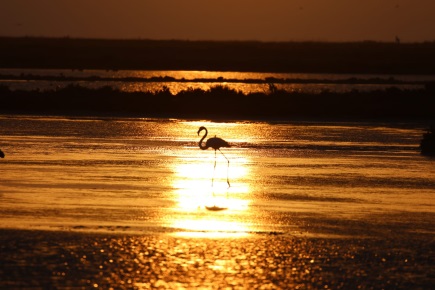 Salinas mediterráneas al atardecer