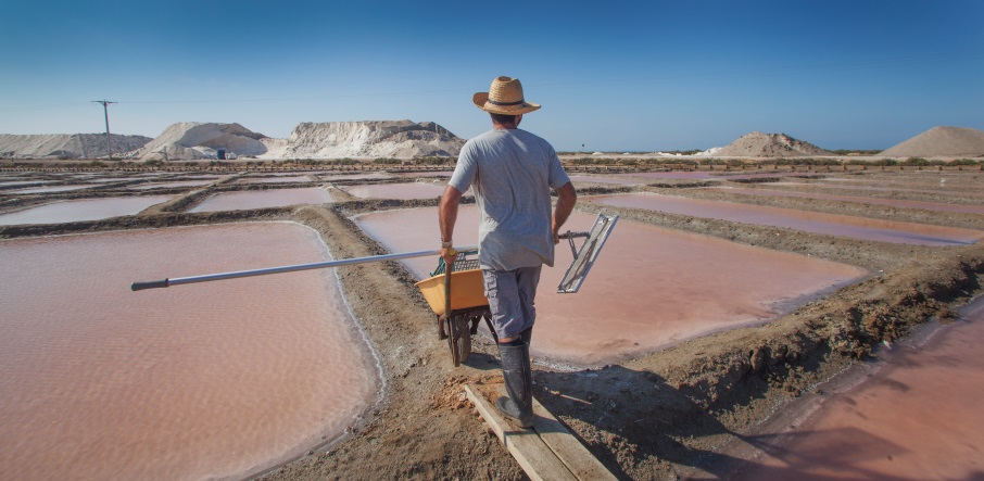 Operario en salinas mediterráneas